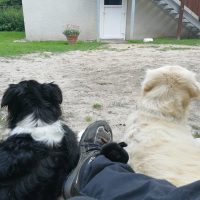 Alenka & Amy